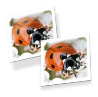 Tactic memo beestjes - thumbnail