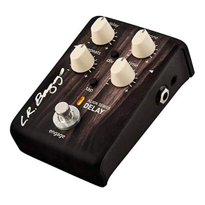 LR Baggs Align Series Delay