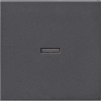 Gira wip met controlevenster E2 antraciet - thumbnail