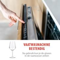 Alpina wijnglazen 4 stuks 50cl - thumbnail