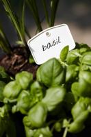 Elho green basics plantlabels small wit - thumbnail