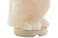 Bureaulamp DKD Home Decor Roze Zout Acacia 15 W 220 V 14 x 14 x 18 cm - thumbnail