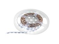 EUROLITE LED Strip 300 5m 3528 5700K 12V - thumbnail