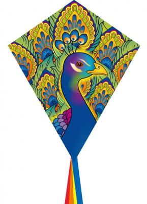 Ecoline Vlieger Eddy Peacock Spanwijdte 580 mm Geschikt voor windsterkte 2 - 5 bft Ecoline Vlieger Eddy Peacock Spanwijdte 580 mm Geschikt voor windsterkte 2 - 5 bft