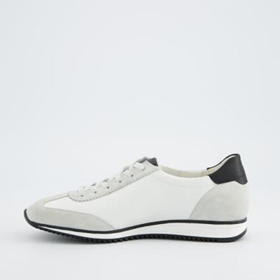 Paul Green 5453 - alle Paul Green 5453 - alle