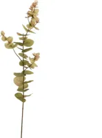 Pure Royal kunsttak eucalyptus 75cm groen - thumbnail