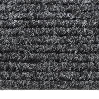 VidaXL Droogloopmat 100x300 cm antracietkleurig - thumbnail