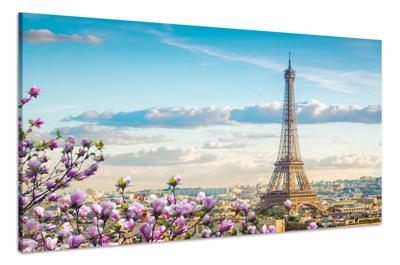 Schilderij - Lente in Parijs, Eiffeltoren, 2 maten,Premium print