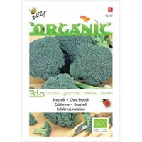 Zaden Organic Broccoli Calabrese natalino (BIO) Buzzy - Buzzy - thumbnail