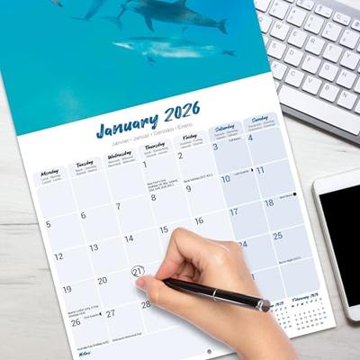 Dolfijnen Kalender 2026