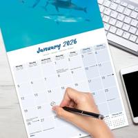 Dolfijnen Kalender 2026 - thumbnail