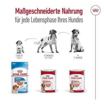 Royal Canin Medium Ageing 7+ Mousse | 12 x 410 g | Volledig voer voor oudere, middelgrote honden vanaf 7 jaar