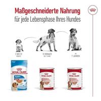 Royal Canin Medium Ageing 7+ Mousse | 12 x 410 g | Volledig voer voor oudere, middelgrote honden vanaf 7 jaar - thumbnail