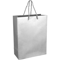Tas | Papier | met koord | 22x 10x29cm | draagtas | zilver | 100 stuks - thumbnail