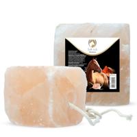 Excellent Horse Salt Lick Himalaya 2-3 kg (Met touw) - thumbnail