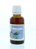 DET020 Nier blaas Detox 30 Milliliter - thumbnail