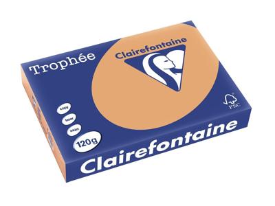 Clairefontaine Trophée Pastel, gekleurd papier, A4, 120 g, 250 vel, mokkabruin