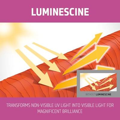 Goldwell Dualsenses Color Brilliance Conditioner 1000ml