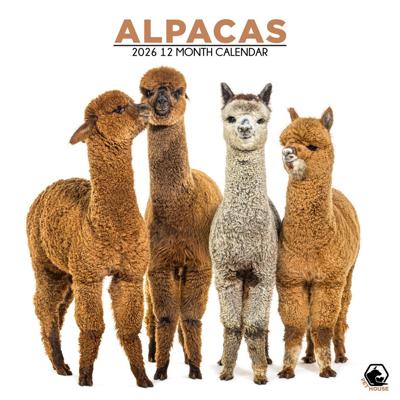 Alpaca Kalender 2026