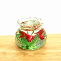 Poppenhuis miniatuur transparante glazen vis tank aquarium speelgoed (rood) - thumbnail