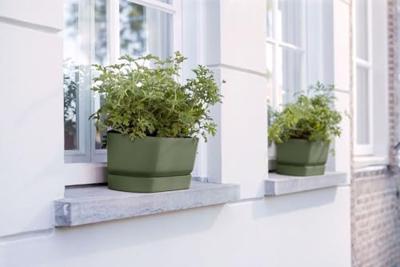 Elho Greenville Trough Long kunststof bloembak 50 cm blad groen Elho Greenville Trough Long kunststof bloembak 50 cm blad groen