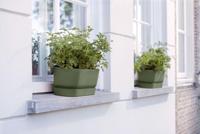 Elho Bak greenville trough long 70cm groen - thumbnail