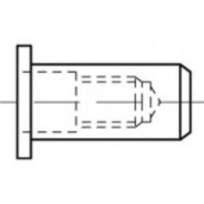 TOOLCRAFT TO-5455272 Popmoer M6 500 stuk(s)
