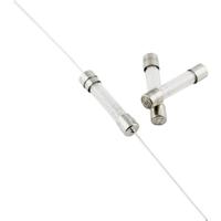 ESKA 525.221 525221 Buiszekering (Ø x l) 5 mm x 25 mm 2.5 A 250 V Normaal -mT- Inhoud 10 stuk(s) - thumbnail