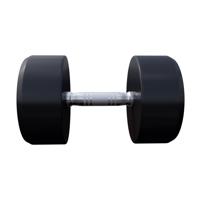 Dumbell 27,5 kg - thumbnail