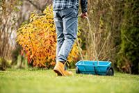 Zaagblad Cellfast - thumbnail