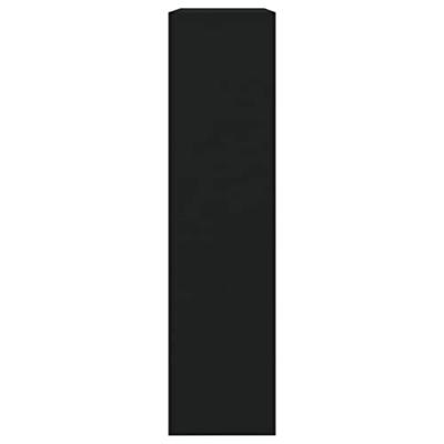 Schoenenkast met spiegel 2-laags 63x17x67 cm zwart