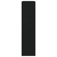 Schoenenkast met spiegel 2-laags 63x17x67 cm zwart - thumbnail