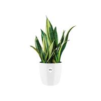 Elho brussels diamond round 20 white - thumbnail