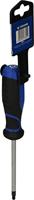 Brilliant Tools BT034908 Torx-schroevendraaier Grootte T 25 Koplengte: 100 mm 1 stuk(s) - thumbnail