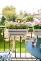 Elho Vibia campaba trough 50 silky white - thumbnail