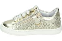 Develab 42868 - alle - thumbnail