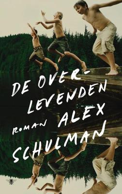 De overlevenden - Alex Schulman - ebook