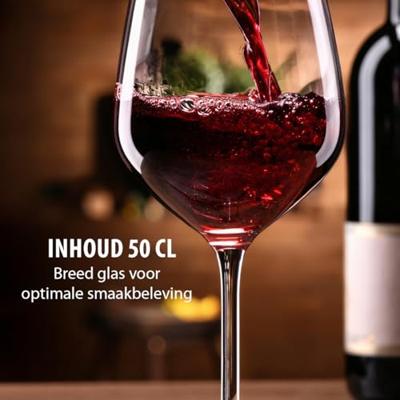 Alpina wijnglazen 4 stuks 50cl