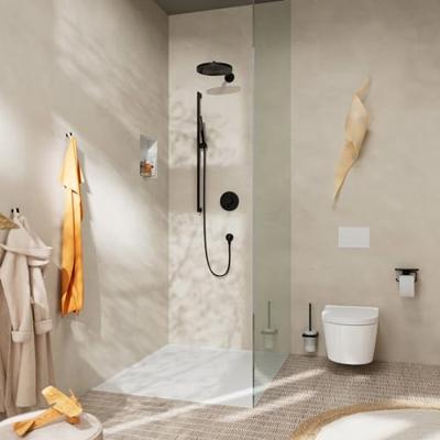 Hansgrohe Showerselect Comfort S thermostaat - inbouw - 2 functies - mat zwart 15554670