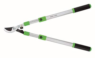 Freund Takkenschaar 10 30ta telescopisch