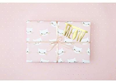 Set 2 rollen Inpakpapier Cat Bibi