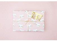 Set 2 rollen Inpakpapier Cat Bibi - thumbnail