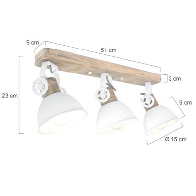 Steinhauer PlafondspotGearwood - 2133W