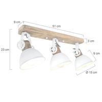 Steinhauer PlafondspotGearwood - 2133W - thumbnail