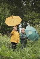 TRIXIE Paraplu olijf - thumbnail