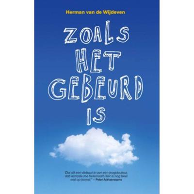 Zoals het gebeurd is - Herman van de Wijdeven - Paperback (9789022330197) Zoals het gebeurd is - Herman van de Wijdeven - Paperback (9789022330197)