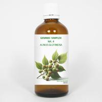 Balancepharma Gemmo simplex 4 alnus glutinosa 100 Milliliter - thumbnail