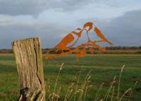 Geluksvogel Mezen paartje - Roest Metaal - thumbnail