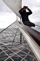 Bresser Nautic 7x50 WD/KMP Verrekijker - thumbnail