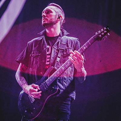 DiMarzio DP 155FBK The Tone Zone element